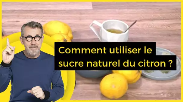 Comment utiliser le sucre naturel du citron ? - C Jamy