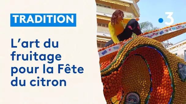 Le fruitage des chars de la fête du citron, ou l'art de parer les décors avant les défilés de Menton