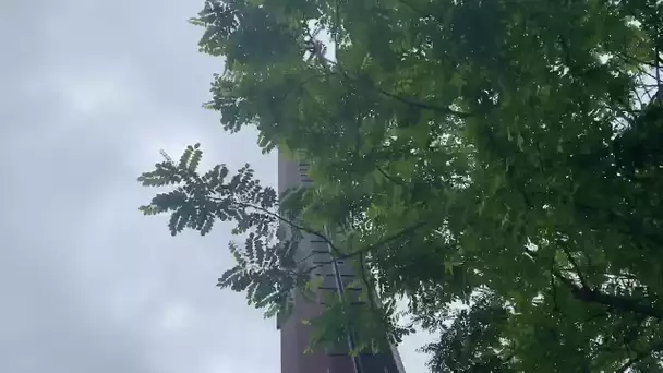 Deux antennes relais de téléphonie en feu en une semaine à Toulouse dont celle-ci