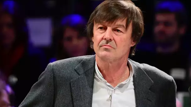 Nicolas Hulot : sa fortune fait jaser à l’Élysée.