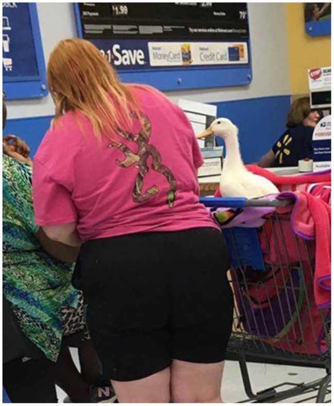 peopleofwalmart.com