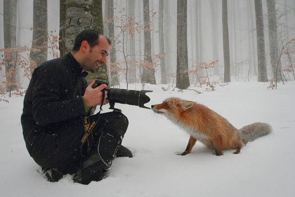 boredpanda.com