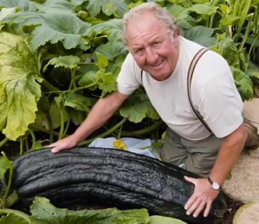 Ce fermier Gallois cultive des légumes géants et sans pesticides !