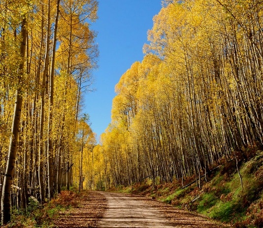 Job de rêve : gardien de l'une des plus belles réserves naturelles au Colorado !