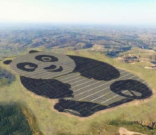 Panda Power Plant : le panda énergétique géant en Chine