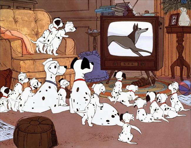 25-101-dalmatien