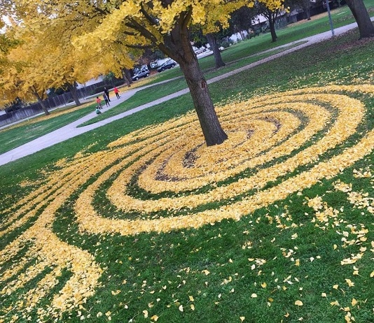 Cette Artiste Fait Du Land Art Avec Des Feuilles Mortes Allo Trends