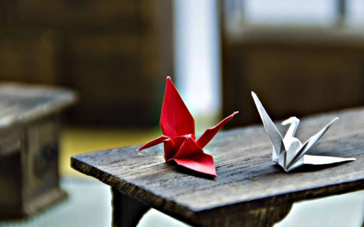 Un serveur japonais expose les origamis réalisés par ses clients
