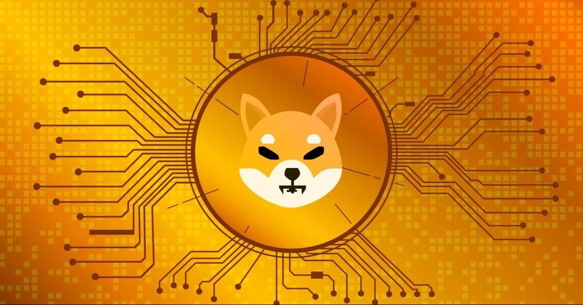 Shiba Inu : ce pays aime la cryptomonnaie canine