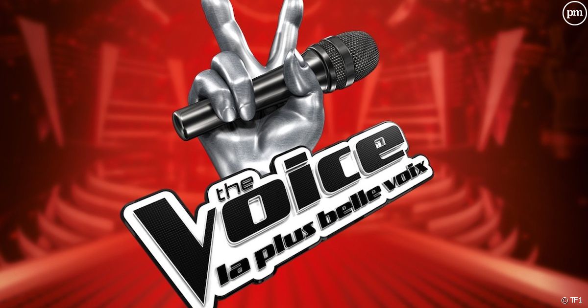 "The Voice" : seul un vrai fan de l'émission obtient 10/10 dans ce quiz !